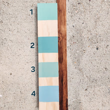 Load image into Gallery viewer, Josh&#39;s Custom Piece - 24&quot; x 48&quot;
